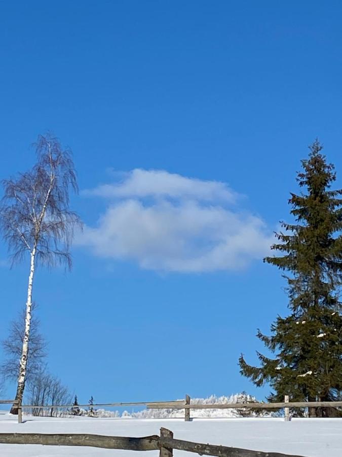 Садиба Anna Szlavszke Kültér fotó
